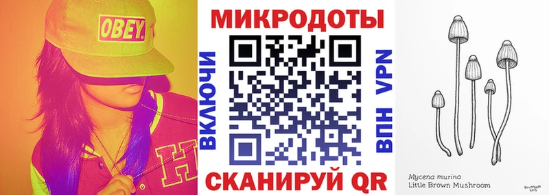 Псилоцибиновые грибы Psilocybine cubensis  Ейск 